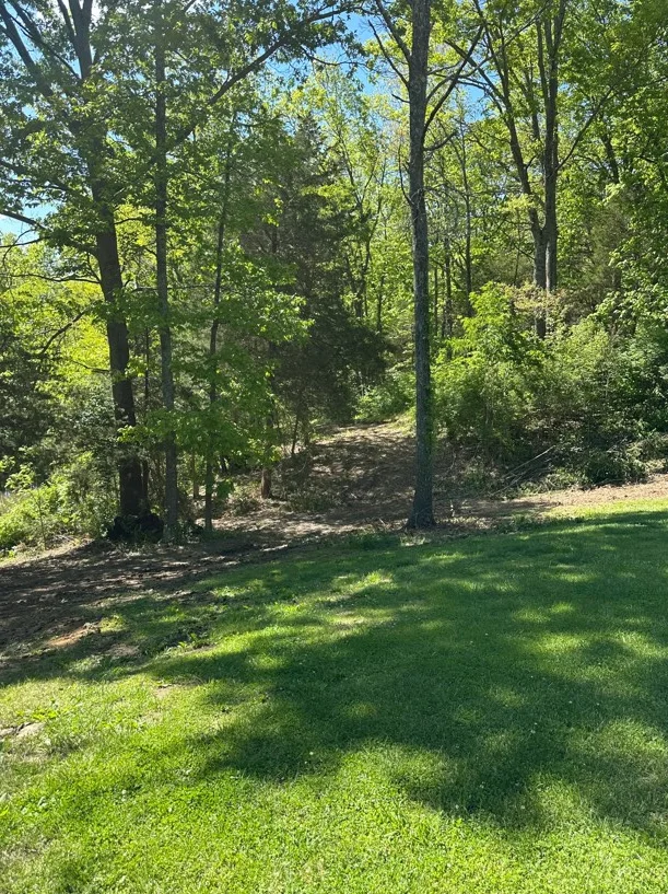 Graded lot with mature trees, cleared area, and mulched forest floor