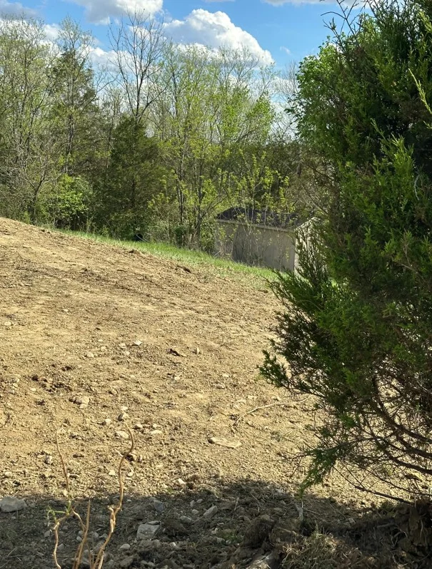 Hillside excavation with graded earth, gravel base, and tree line
