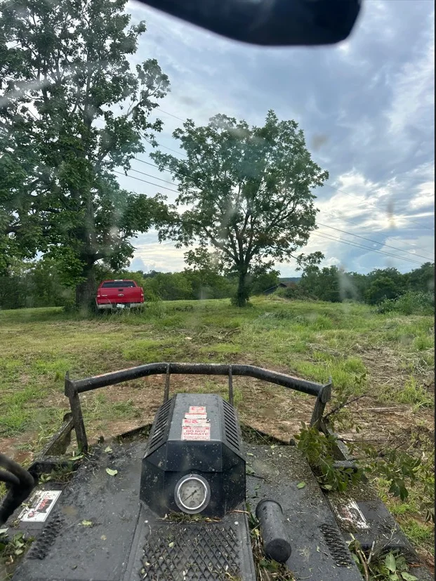 Cleared land with graded soil, mature trees, and equipment access path