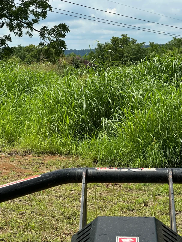Cleared land with heavy equipment, dense vegetation removal, and prepared soil base