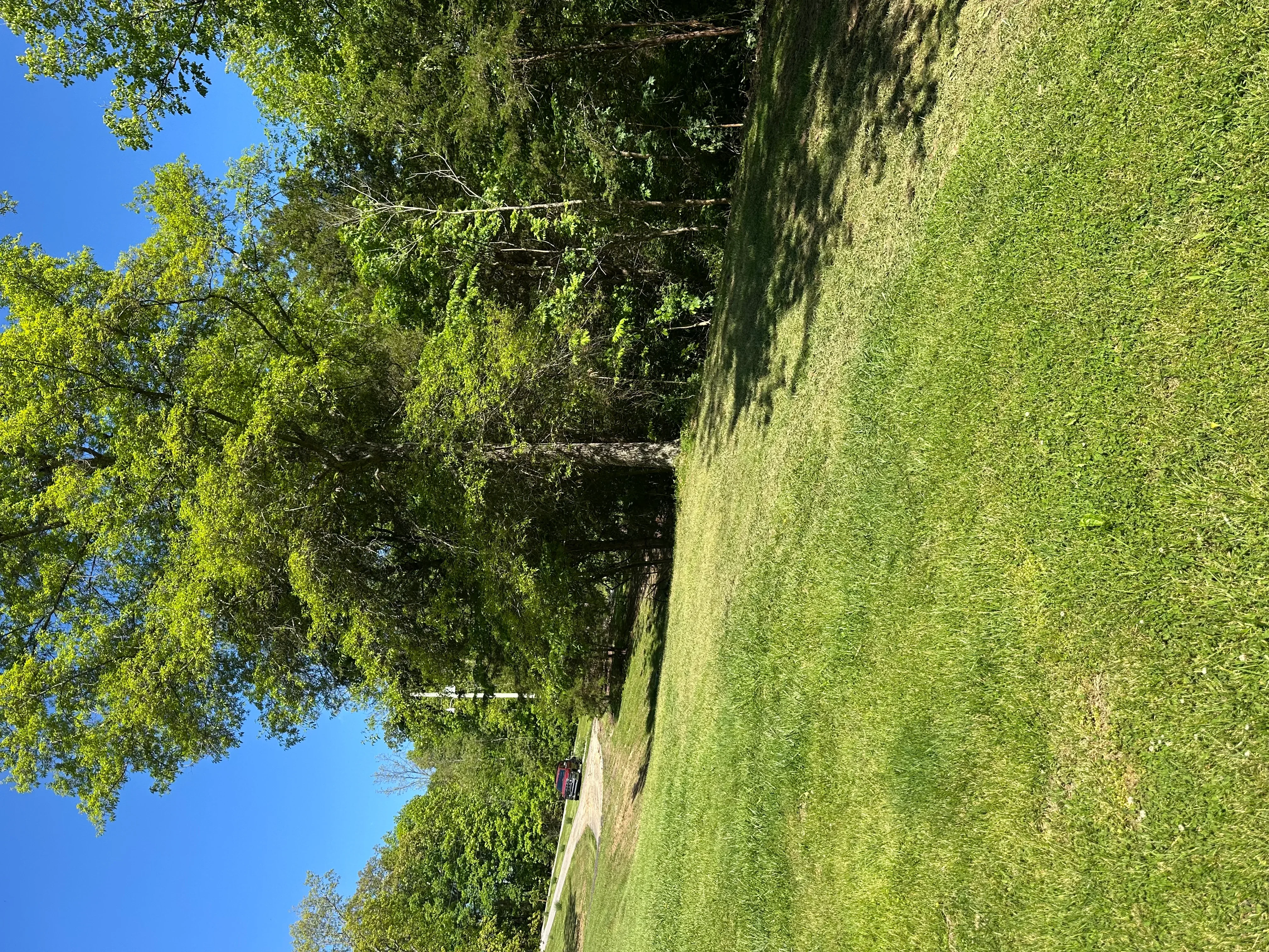 Graded residential lot with mature trees and clear blue sky in Sparta, Kentucky