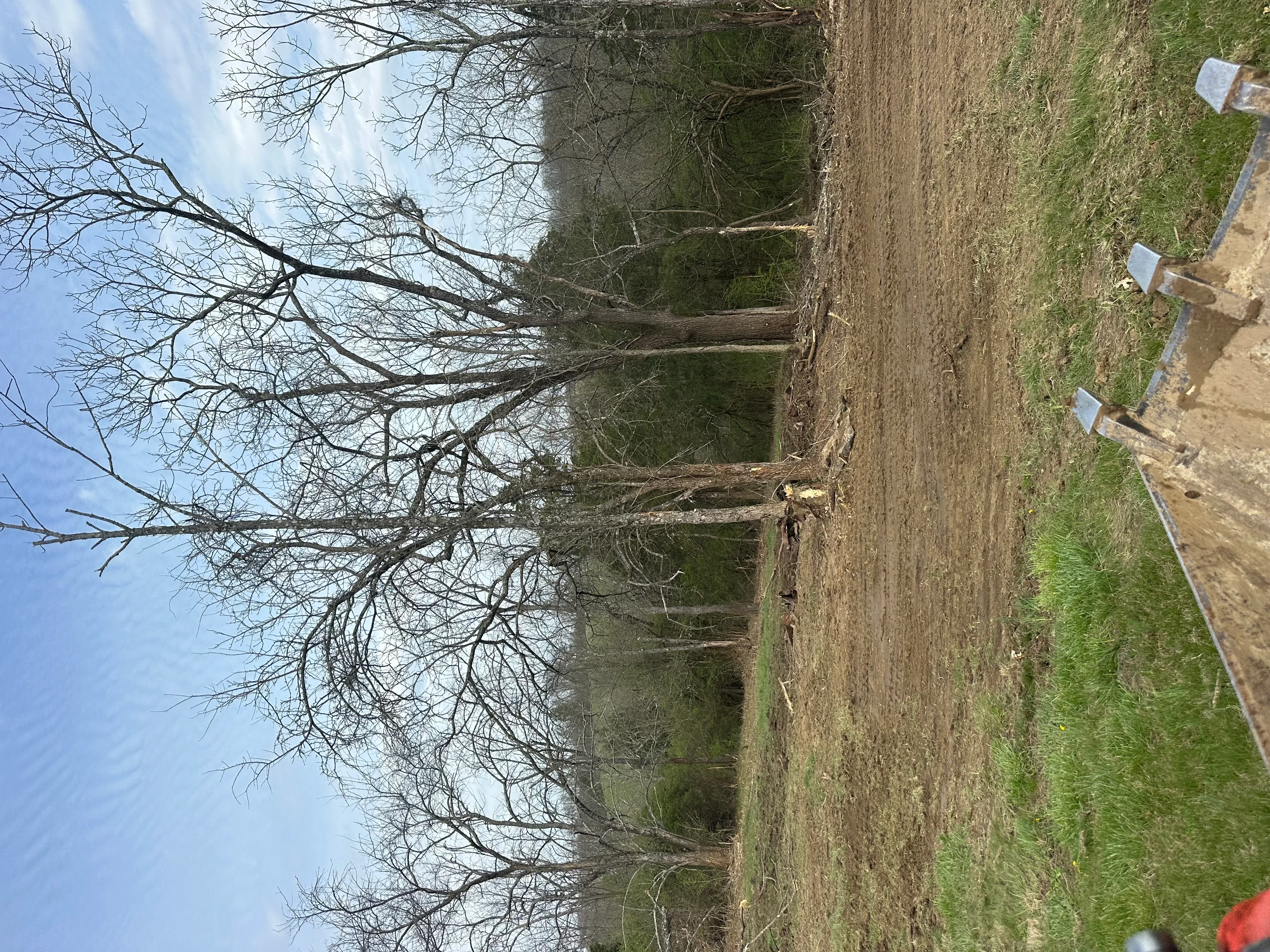 Cleared land with removed trees and prepared soil on residential property