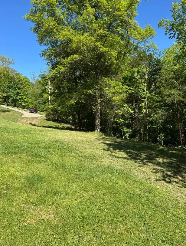 Graded residential lot with level lawn areas and mature tree line, sloped terrain preparation