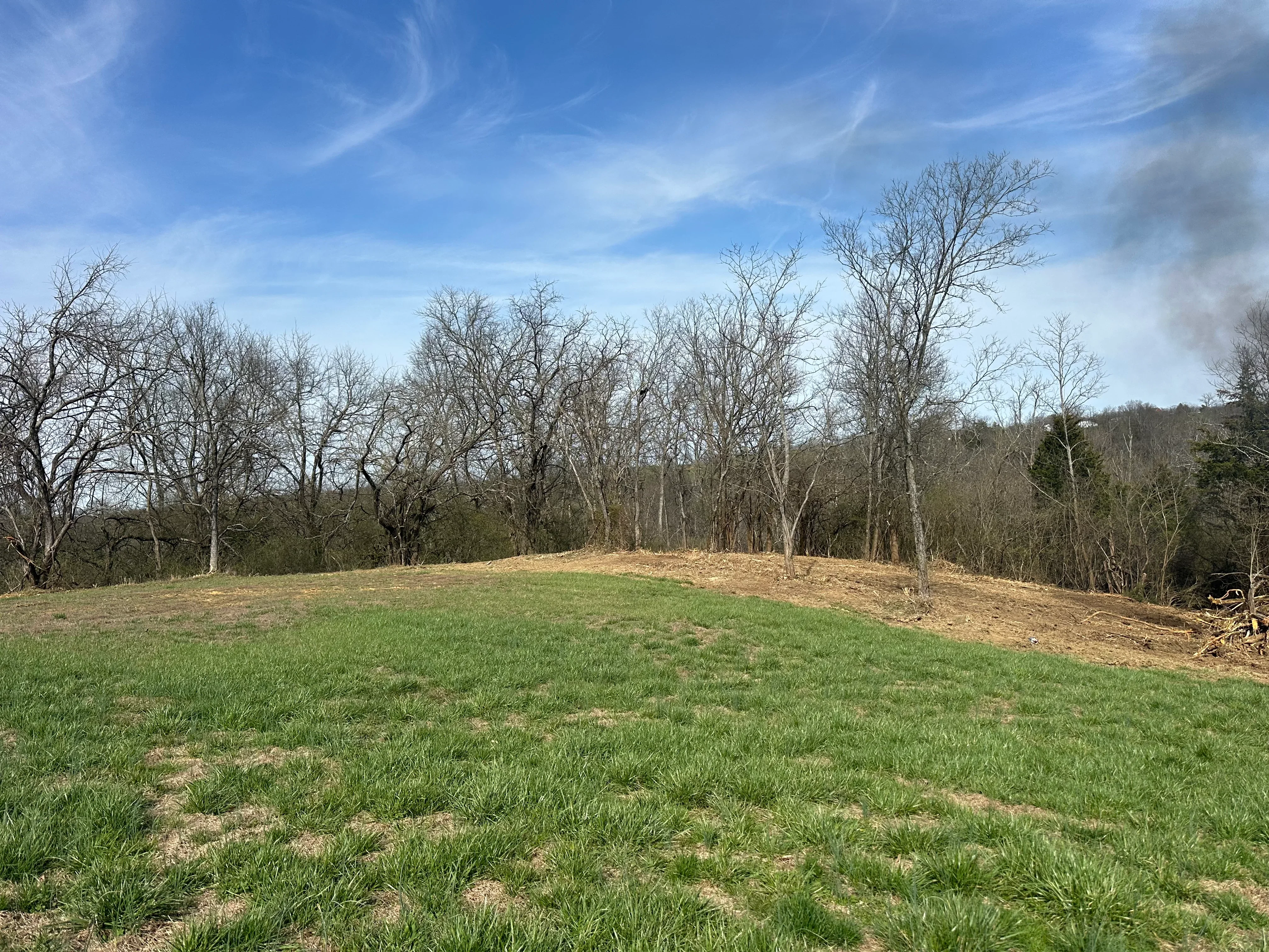 Cleared and graded land with new grass, mature trees along tree line, bare soil on slope