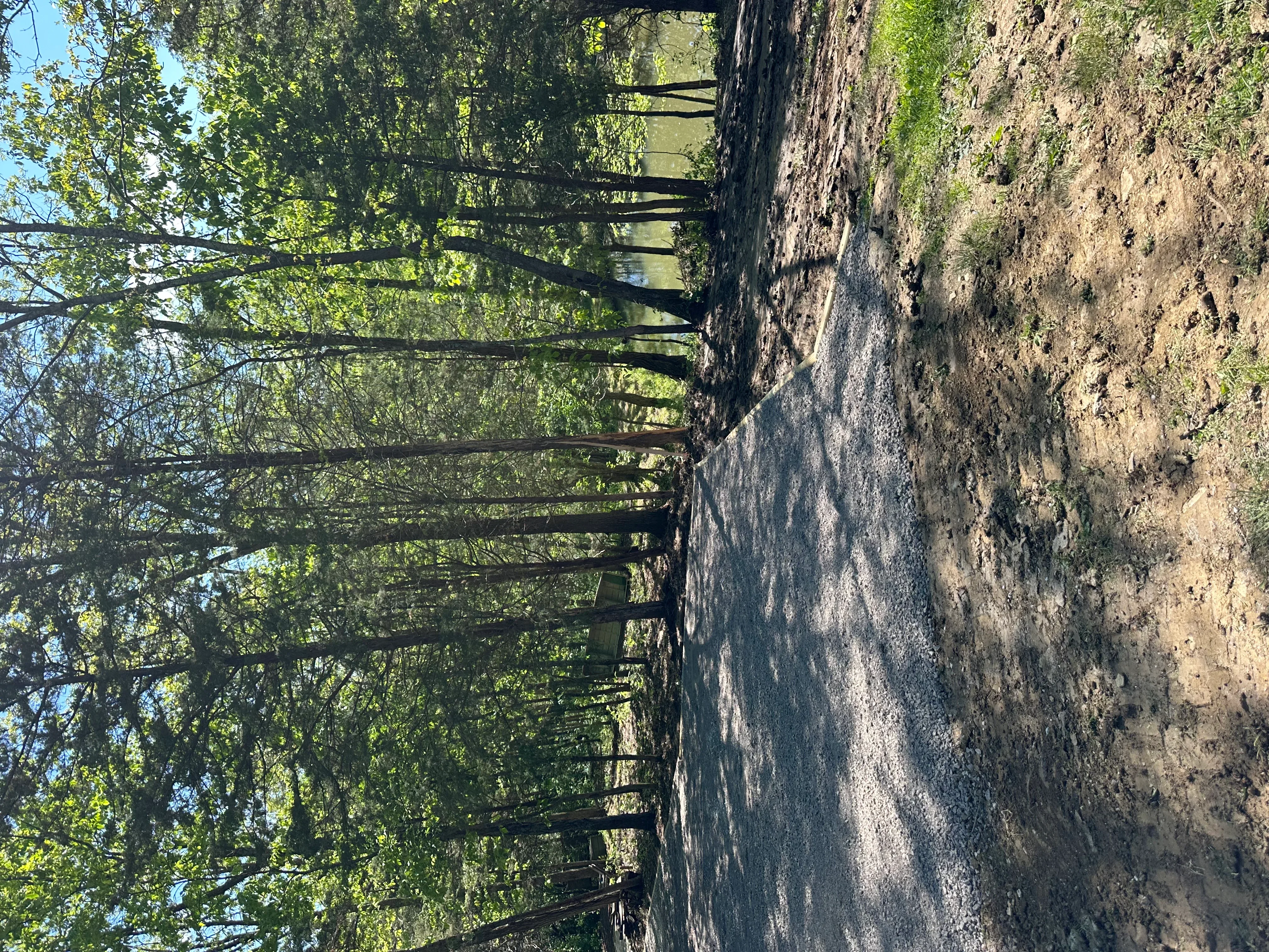 Excavated driveway site with graded earth and steel support structures
