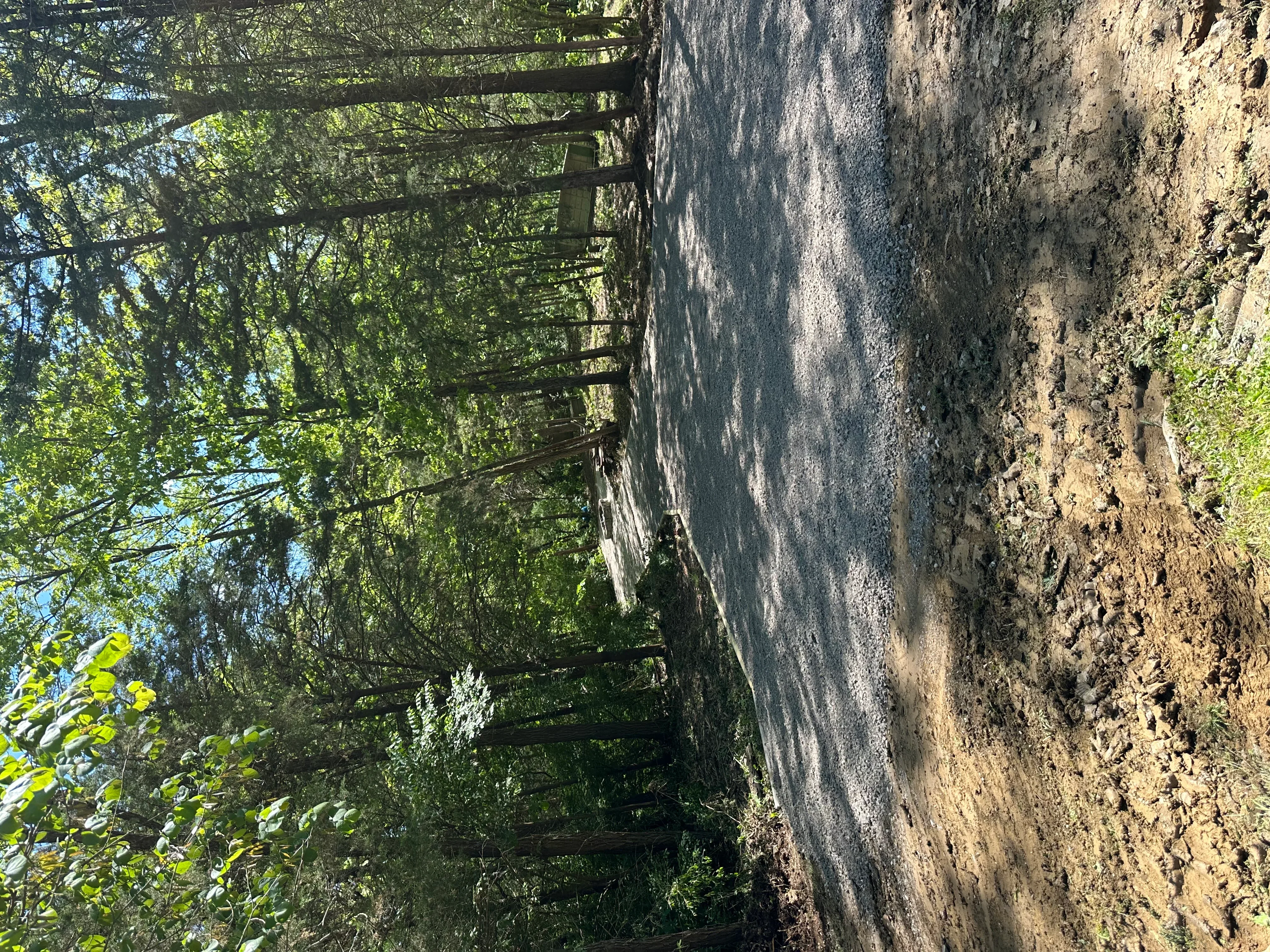 Excavated driveway site with graded earth and wooden pergola structure overhead