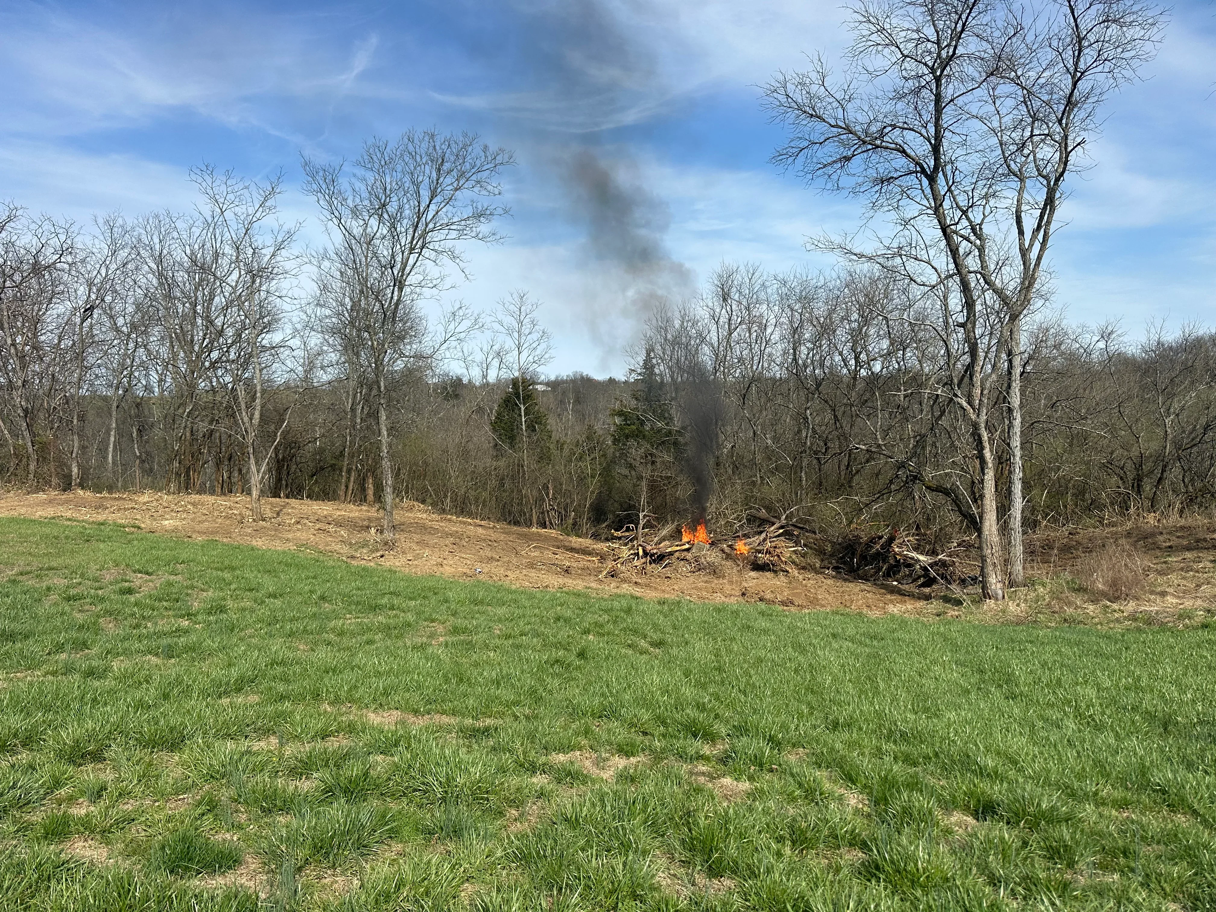 Cleared property with active debris burn pile, bare soil, and standing trees along wooded tree line