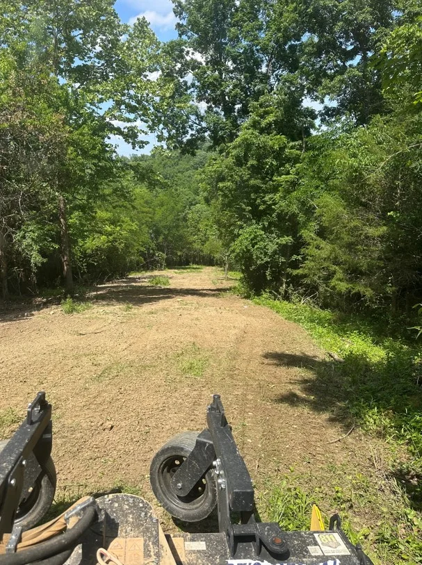 Graded dirt driveway through wooded area with mature trees lining both sides